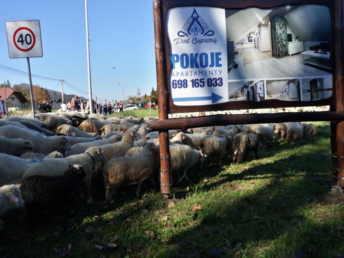 Pokoje Goscinne Pod Cuprona Szczawnica Esterno foto