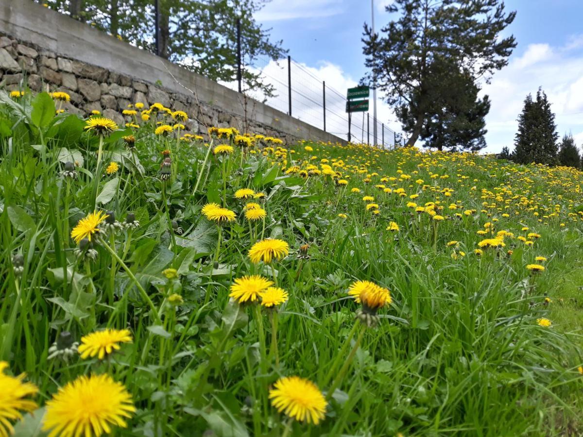 Pokoje Goscinne Pod Cuprona Szczawnica Esterno foto